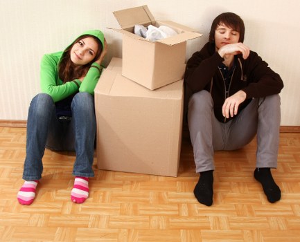 Prepared sofa and wooden furniture wrapped for storage