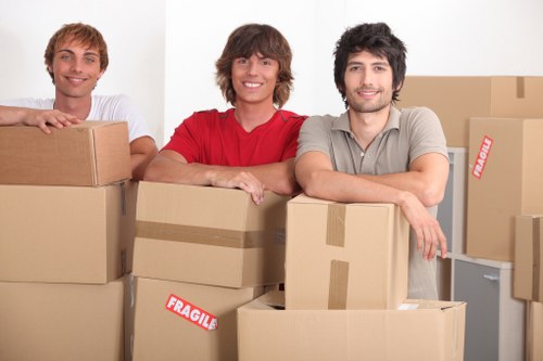 Professional removals and storage services in Dulwich with moving boxes and a van