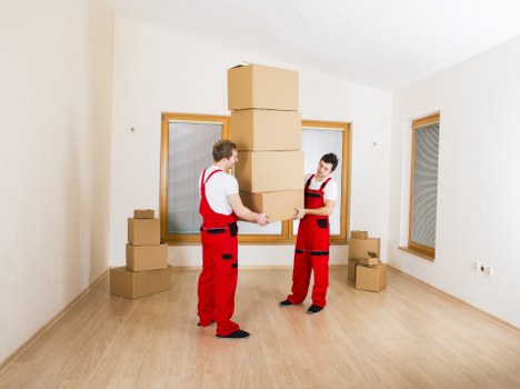 Organized storage boxes and furniture in a clean unit